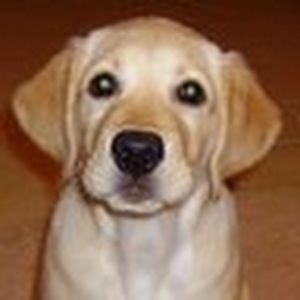 Meet your Posher, Carron